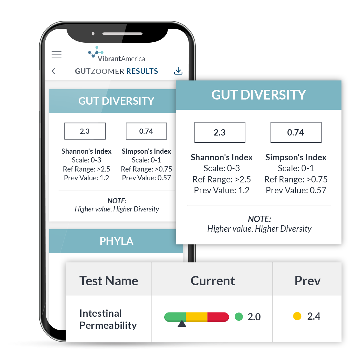 Gut Zoomer Test by Vibrant America – CrohnsColitisLifestyle